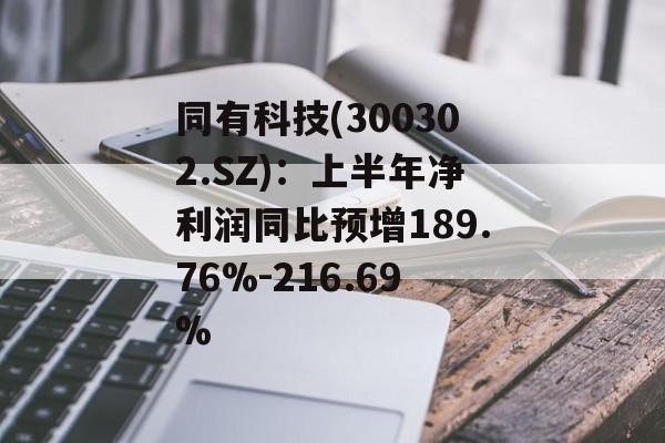 同有科技(300302.SZ):上半年净利润同比预增189.76%-216.69% 同有科技(300302.SZ):上半年净利润同比预增189.76%-216.69%