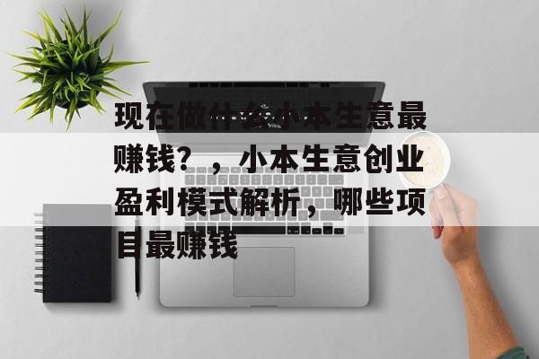 现在做什么小本生意最赚钱？，小本生意创业盈利模式解析，哪些项目最赚钱