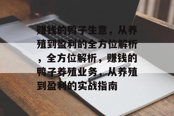 赚钱的鸭子生意,从养殖到盈利的全方位解析,全方位解析,赚钱的鸭子养殖业务,从养殖到盈利的实战指南 赚钱的鸭子生意,从养殖到盈利的全方位解析,全方位解析,赚钱的鸭子养殖业务,从养殖到盈利的实战指南