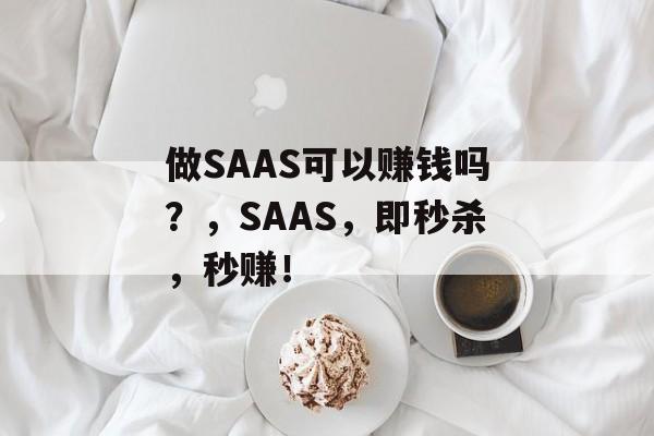 做SAAS可以赚钱吗？，SAAS，即秒杀，秒赚！