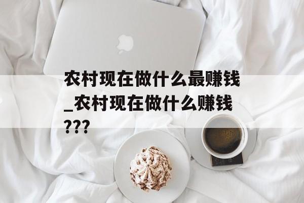 农村现在做什么最赚钱_农村现在做什么赚钱???