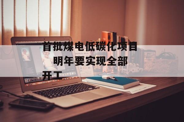 首批煤电低碳化项目    明年要实现全部开工 首批煤电低碳化项目    明年要实现全部开工