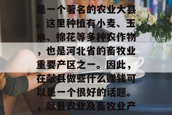 献县地处河北省北部,是一个著名的农业大县。这里种植有小麦、玉米、棉花等多种农作物,也是河北省的畜牧业重要产区之一。因此,在献县做些什么赚钱可以是一个很好的话题。,献县农业及畜牧业产业创业投资机会探讨 献县地处河北省北部,是一个著名的农业大县。这里种植有小麦、玉米、棉花等多种农作物,也是河北省的畜牧业重要产区之一。因此,在献县做些什么赚钱可以是一个很好的话题。,献县农业及畜牧业产业创业投资机会探讨