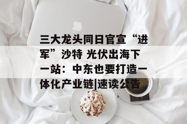 三大龙头同日官宣“进军”沙特 光伏出海下一站:中东也要打造一体化产业链|速读公告 三大龙头同日官宣“进军”沙特 光伏出海下一站:中东也要打造一体化产业链|速读公告