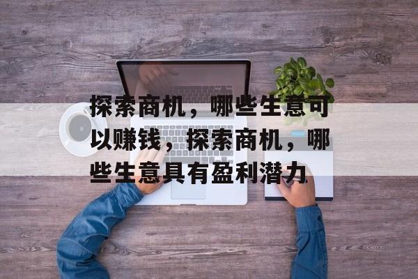 探索商机，哪些生意可以赚钱，探索商机，哪些生意具有盈利潜力