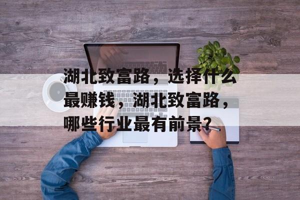 湖北致富路,选择什么最赚钱,湖北致富路,哪些行业最有前景? 湖北致富路,选择什么最赚钱,湖北致富路,哪些行业最有前景?