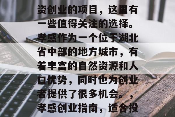孝感地区有很多适合投资创业的项目,这里有一些值得关注的选择。孝感作为一个位于湖北省中部的地方城市,有着丰富的自然资源和人口优势,同时也为创业者提供了很多机会。,孝感创业指南,适合投资的好项目 孝感地区有很多适合投资创业的项目,这里有一些值得关注的选择。孝感作为一个位于湖北省中部的地方城市,有着丰富的自然资源和人口优势,同时也为创业者提供了很多机会。,孝感创业指南,适合投资的好项目