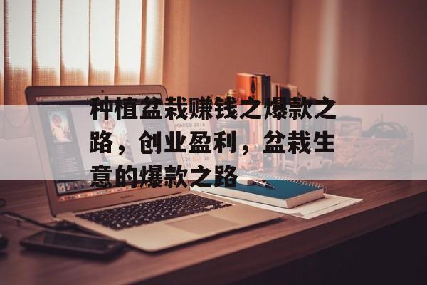 种植盆栽赚钱之爆款之路，创业盈利，盆栽生意的爆款之路