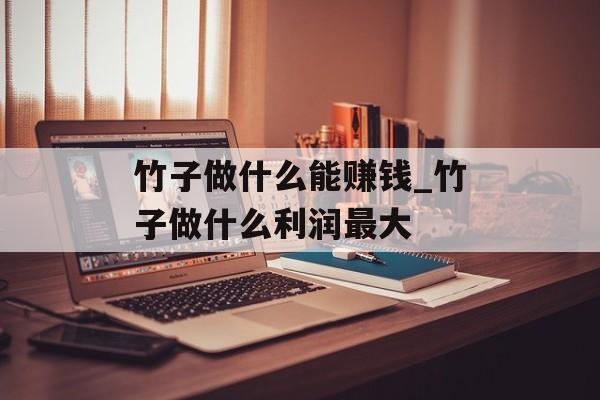 竹子做什么能赚钱_竹子做什么利润最大