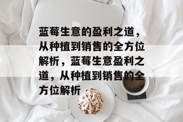 蓝莓生意的盈利之道，从种植到销售的全方位解析，蓝莓生意盈利之道，从种植到销售的全方位解析
