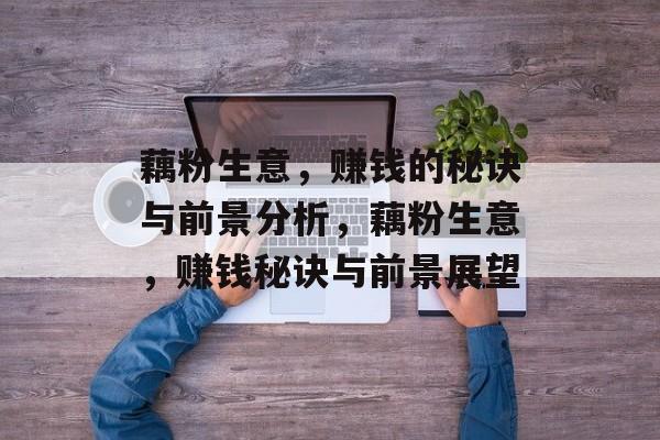 藕粉生意，赚钱的秘诀与前景分析，藕粉生意，赚钱秘诀与前景展望