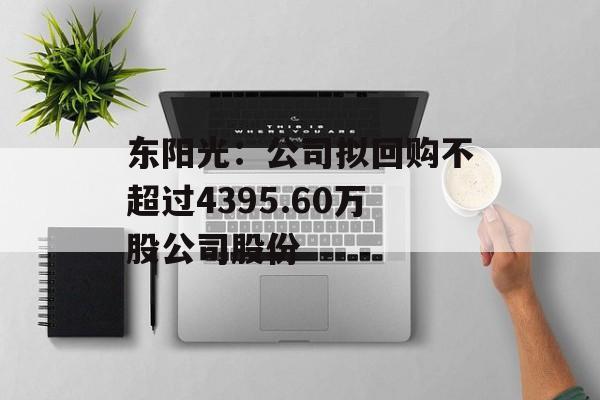 东阳光:公司拟回购不超过4395.60万股公司股份 东阳光:公司拟回购不超过4395.60万股公司股份