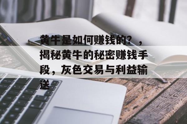 黄牛是如何赚钱的?,揭秘黄牛的秘密赚钱手段,灰色交易与利益输送 黄牛是如何赚钱的?,揭秘黄牛的秘密赚钱手段,灰色交易与利益输送