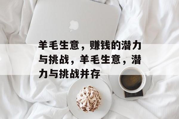 羊毛生意，赚钱的潜力与挑战，羊毛生意，潜力与挑战并存