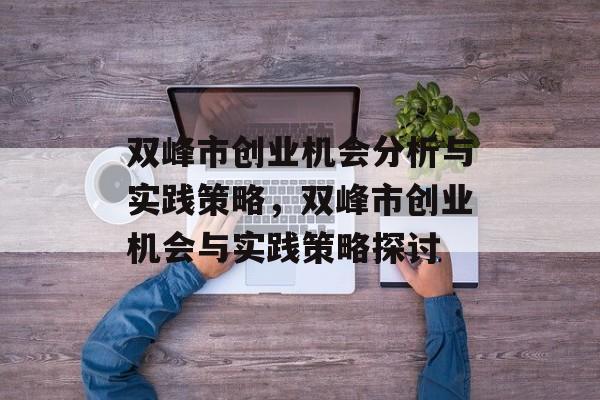 双峰市创业机会分析与实践策略，双峰市创业机会与实践策略探讨
