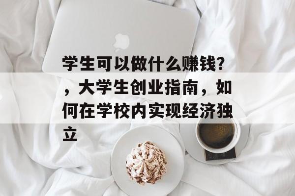 学生可以做什么赚钱?,大学生创业指南,如何在学校内实现经济独立 学生可以做什么赚钱?,大学生创业指南,如何在学校内实现经济独立