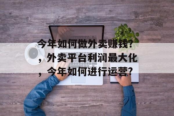今年如何做外卖赚钱？，外卖平台利润最大化，今年如何进行运营?