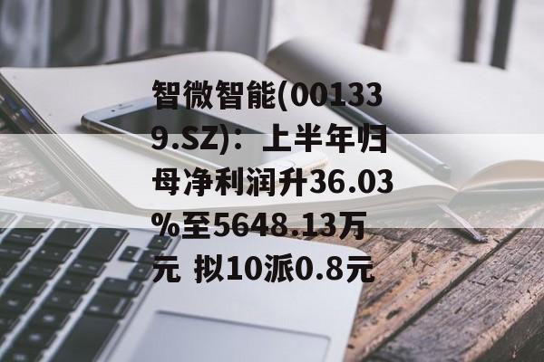 智微智能(001339.SZ)：上半年归母净利润升36.03%至5648.13万元 拟10派0.8元