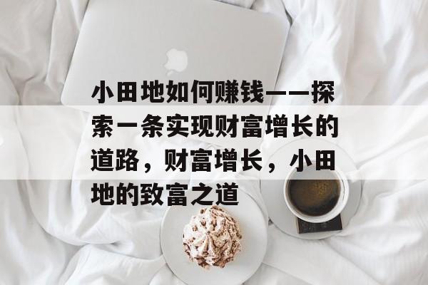 小田地如何赚钱——探索一条实现财富增长的道路,财富增长,小田地的致富之道 小田地如何赚钱——探索一条实现财富增长的道路,财富增长,小田地的致富之道