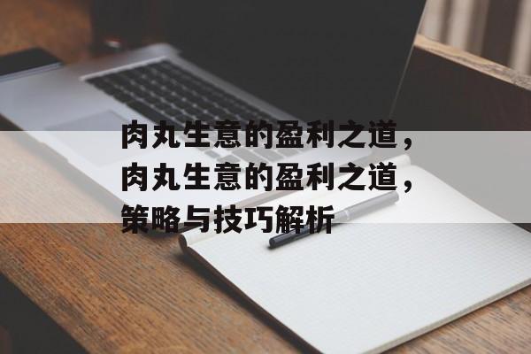 肉丸生意的盈利之道，肉丸生意的盈利之道，策略与技巧解析