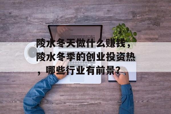 陵水冬天做什么赚钱，陵水冬季的创业投资热，哪些行业有前景？