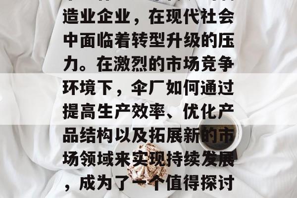 伞厂作为一个传统的制造业企业，在现代社会中面临着转型升级的压力。在激烈的市场竞争环境下，伞厂如何通过提高生产效率、优化产品结构以及拓展新的市场领域来实现持续发展，成为了一个值得探讨的话题。
