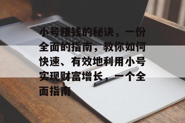 小号赚钱的秘诀，一份全面的指南，教你如何快速、有效地利用小号实现财富增长，一个全面指南