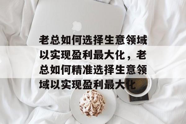老总如何选择生意领域以实现盈利最大化,老总如何精准选择生意领域以实现盈利最大化 老总如何选择生意领域以实现盈利最大化,老总如何精准选择生意领域以实现盈利最大化