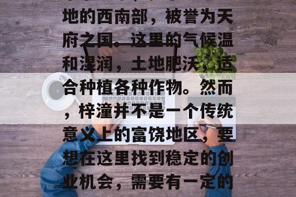 梓潼是中国四川省的一个小城市，位于四川盆地的西南部，被誉为天府之国。这里的气候温和湿润，土地肥沃，适合种植各种作物。然而，梓潼并不是一个传统意义上的富饶地区，要想在这里找到稳定的创业机会，需要有一定的策略和技巧。，梓潼，宜居的小城与创业挑战