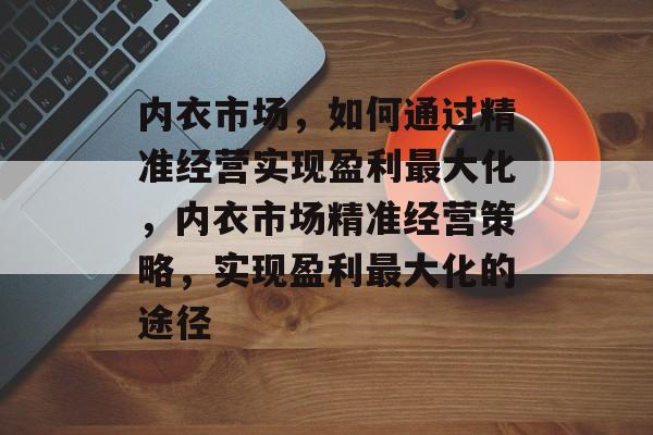 内衣市场，如何通过精准经营实现盈利最大化，内衣市场精准经营策略，实现盈利最大化的途径