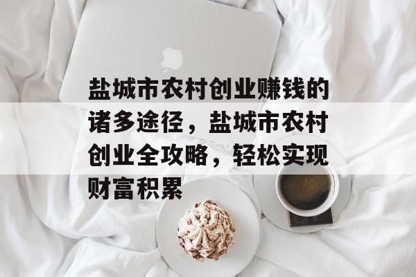 盐城市农村创业赚钱的诸多途径,盐城市农村创业全攻略,轻松实现财富积累 盐城市农村创业赚钱的诸多途径,盐城市农村创业全攻略,轻松实现财富积累