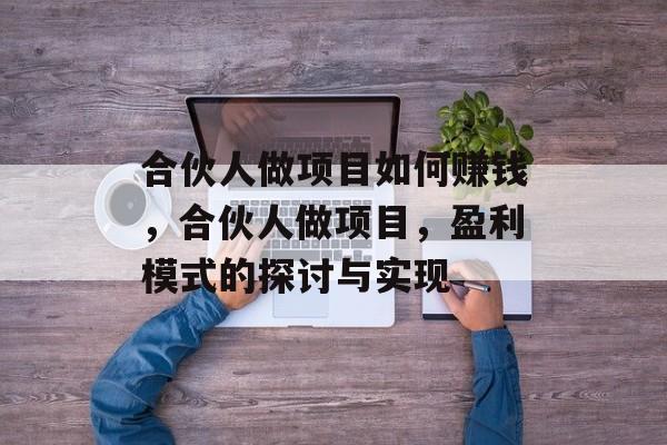 合伙人做项目如何赚钱，合伙人做项目，盈利模式的探讨与实现