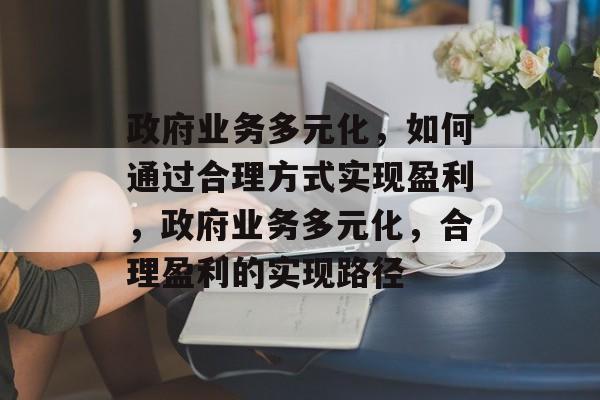 政府业务多元化，如何通过合理方式实现盈利，政府业务多元化，合理盈利的实现路径