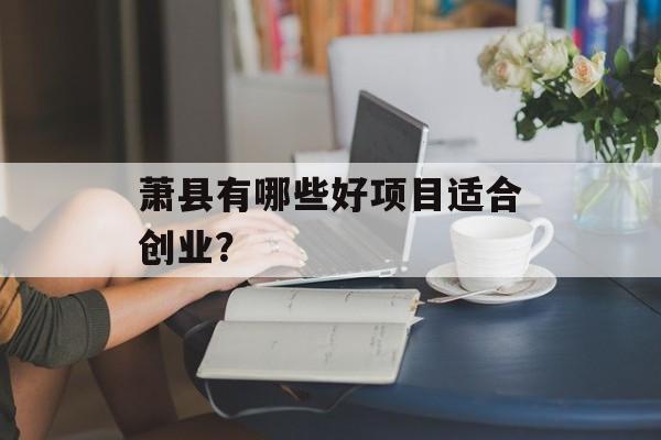 萧县有哪些好项目适合创业？