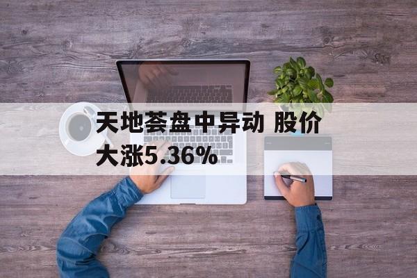 天地荟盘中异动 股价大涨5.36%