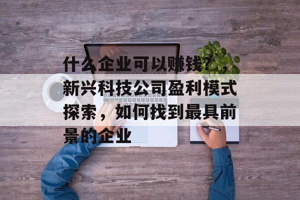 什么企业可以赚钱？，新兴科技公司盈利模式探索，如何找到最具前景的企业