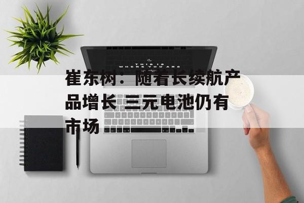 崔东树:随着长续航产品增长 三元电池仍有市场 崔东树:随着长续航产品增长 三元电池仍有市场