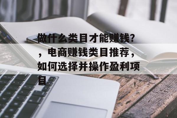 做什么类目才能赚钱?,电商赚钱类目推荐,如何选择并操作盈利项目 做什么类目才能赚钱?,电商赚钱类目推荐,如何选择并操作盈利项目
