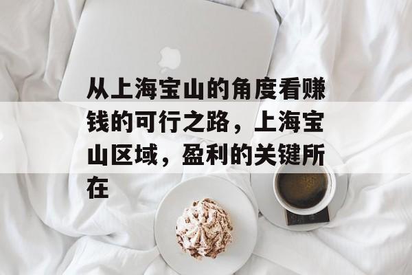 从上海宝山的角度看赚钱的可行之路,上海宝山区域,盈利的关键所在 从上海宝山的角度看赚钱的可行之路,上海宝山区域,盈利的关键所在
