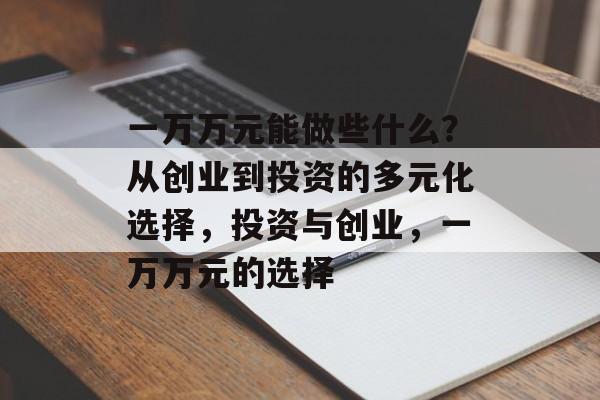 一万万元能做些什么？从创业到投资的多元化选择，投资与创业，一万万元的选择
