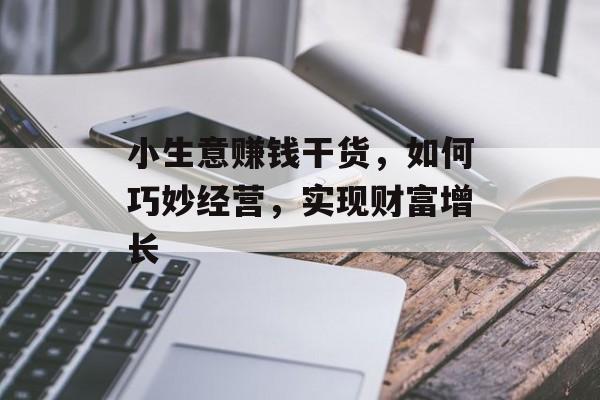 小生意赚钱干货,如何巧妙经营,实现财富增长 小生意赚钱干货,如何巧妙经营,实现财富增长