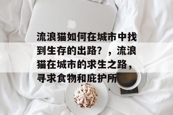 流浪猫如何在城市中找到生存的出路?,流浪猫在城市的求生之路,寻求食物和庇护所 流浪猫如何在城市中找到生存的出路?,流浪猫在城市的求生之路,寻求食物和庇护所