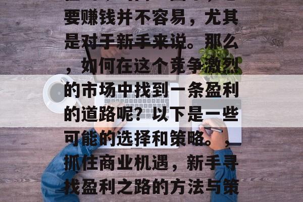 在当今的商业圈中，想要赚钱并不容易，尤其是对于新手来说。那么，如何在这个竞争激烈的市场中找到一条盈利的道路呢？以下是一些可能的选择和策略。，抓住商业机遇，新手寻找盈利之路的方法与策略