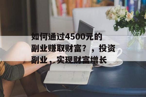如何通过4500元的副业赚取财富?,投资副业,实现财富增长 如何通过4500元的副业赚取财富?,投资副业,实现财富增长