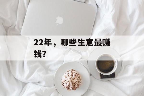 22年，哪些生意最赚钱？