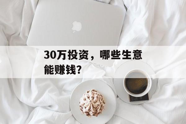 30万投资,哪些生意能赚钱? 30万投资,哪些生意能赚钱?