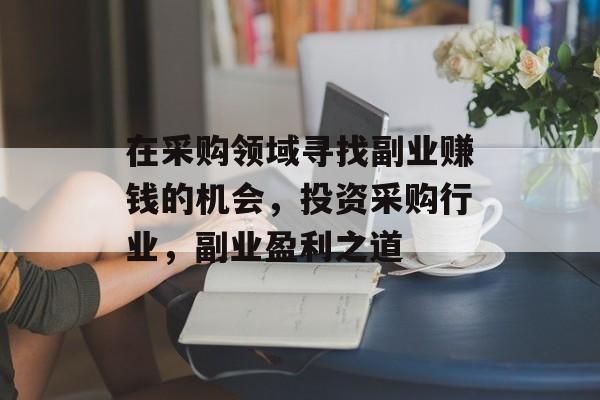 在采购领域寻找副业赚钱的机会,投资采购行业,副业盈利之道 在采购领域寻找副业赚钱的机会,投资采购行业,副业盈利之道