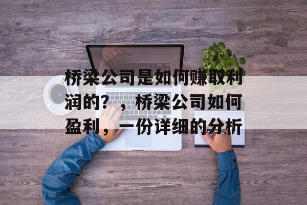 桥梁公司是如何赚取利润的?,桥梁公司如何盈利,一份详细的分析 桥梁公司是如何赚取利润的?,桥梁公司如何盈利,一份详细的分析