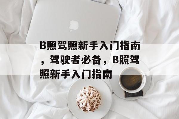 B照驾照新手入门指南,驾驶者必备,B照驾照新手入门指南 B照驾照新手入门指南,驾驶者必备,B照驾照新手入门指南