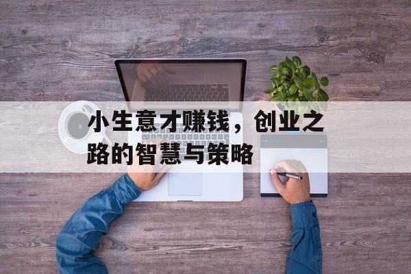 小生意才赚钱,创业之路的智慧与策略 小生意才赚钱,创业之路的智慧与策略